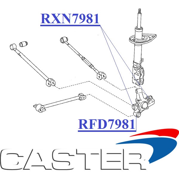 RXN7981