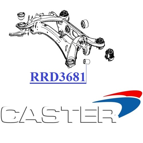 RRD3681